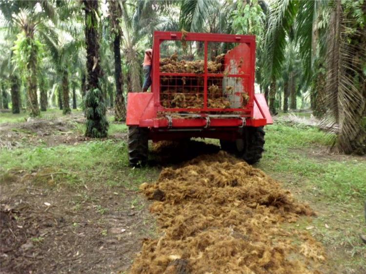 Mesin Pemupukan Sawit Bisa Bikin Produktivitas 5x Lipat, Kok Bisa?