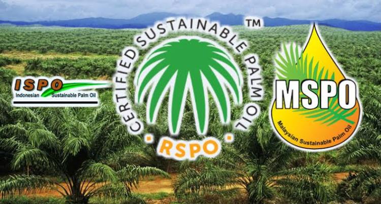 Uni Eropa Sikat Greenwashing! Industri Sawit Dilarang Klaim 'Hijau' Sembarangan Mulai 2026