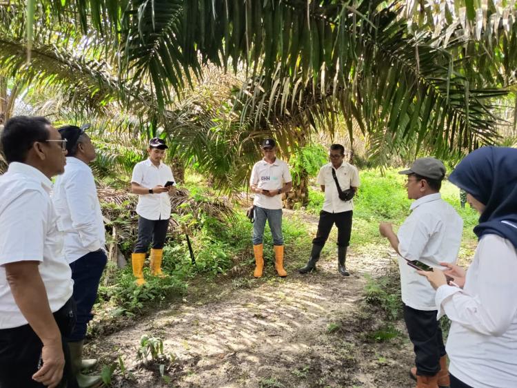 Region Head PTPN IV Regional IV Dorong Operational Excellence di Kebun Tanjung Lebar