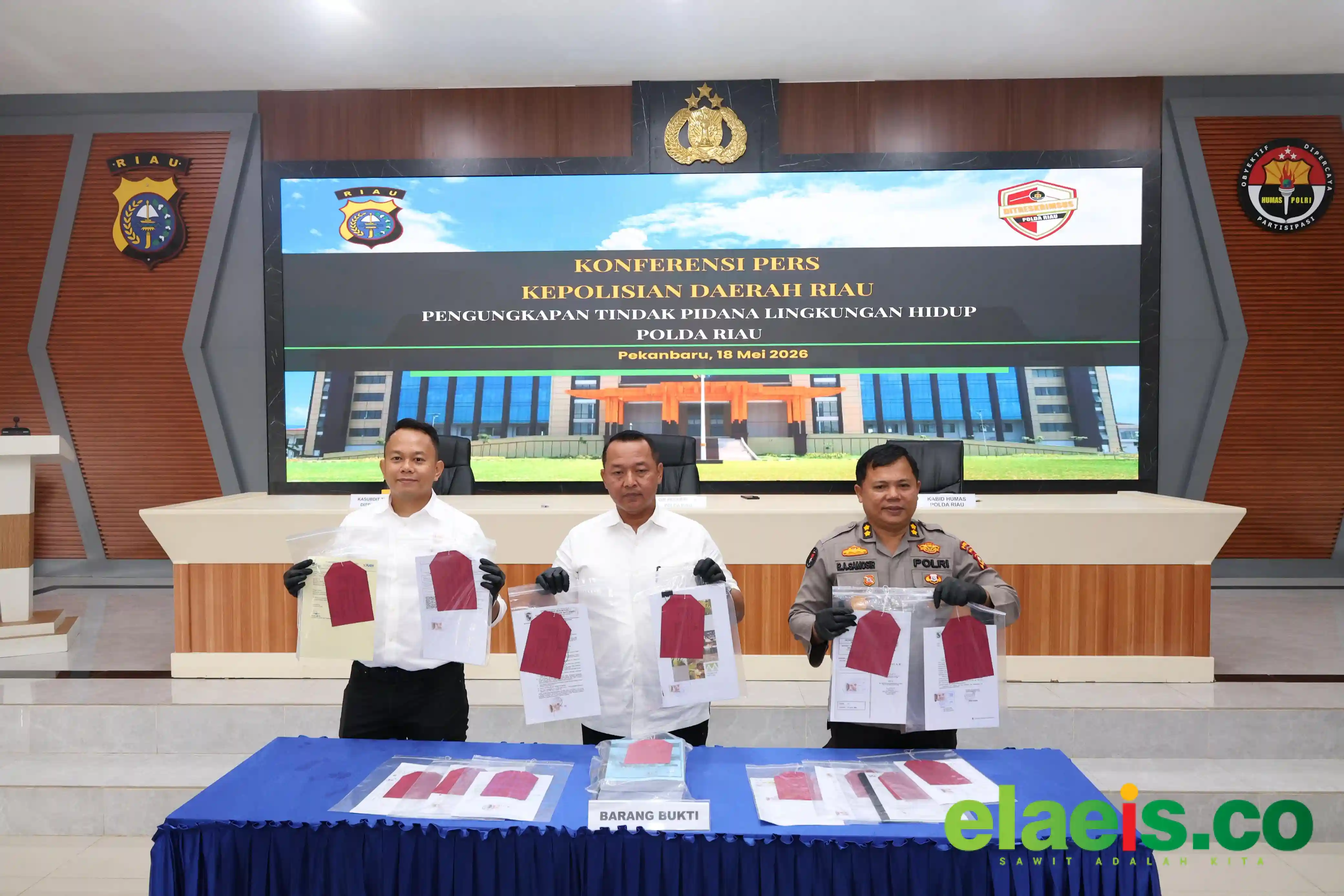 Tanam Sawit di Sempadan Sungai, PT Musim Mas Ditetapkan Sebagai Tersangka