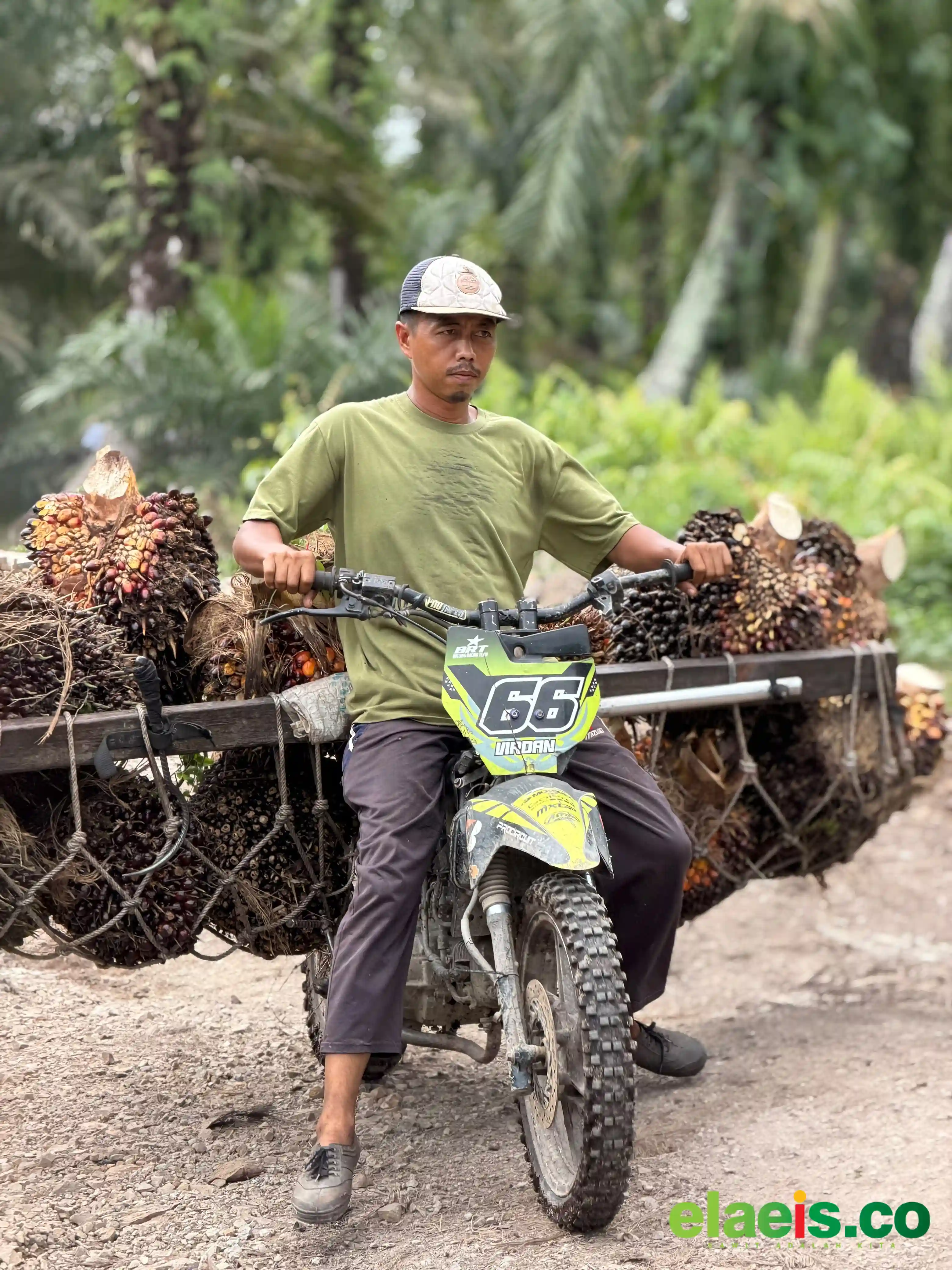 Sawit Indonesia Perlu Diselamatkan Dari Regulasi Tidak Rasional dan Berkeadilan