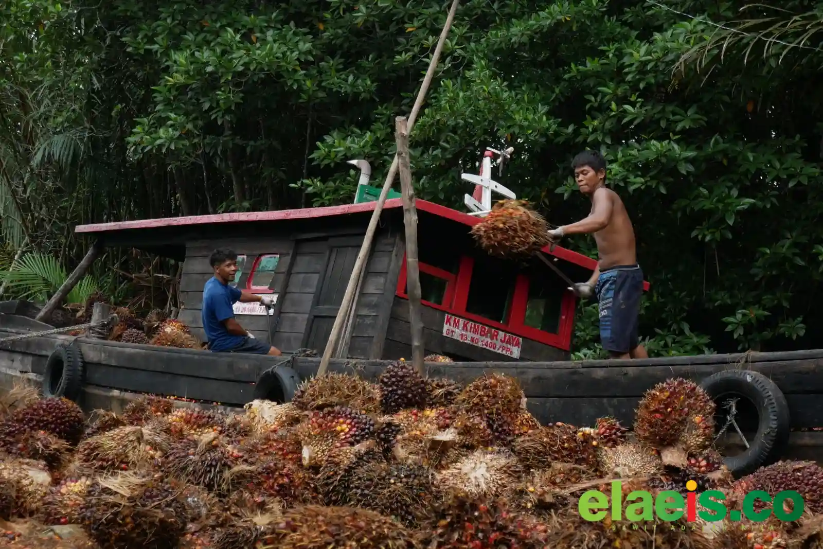 Petani Sanggau Dilema Saat Musim Kemarau