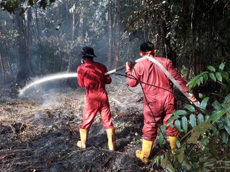 Karhutla 10 Hektare di Bunganya Berhasil Dipadamkan