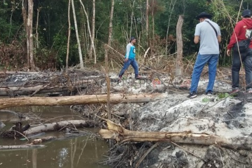 Setelah Aktifitas Perusahaan Dihentikan, Sanksi Adat Menunggu