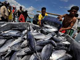 Hasil Tangkapan Ikan Daerah ini Capai Rp 600 Juta Tiap Hari