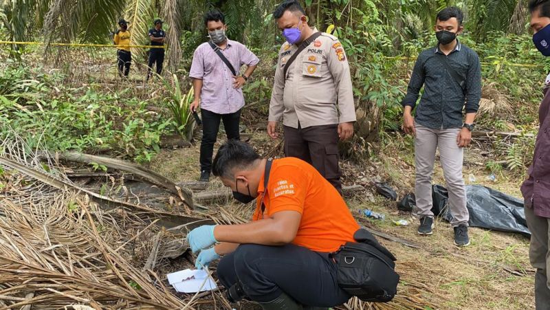 Di Inhu, Mayat Laki-laki Ditemukan Dalam Kebun Sawit