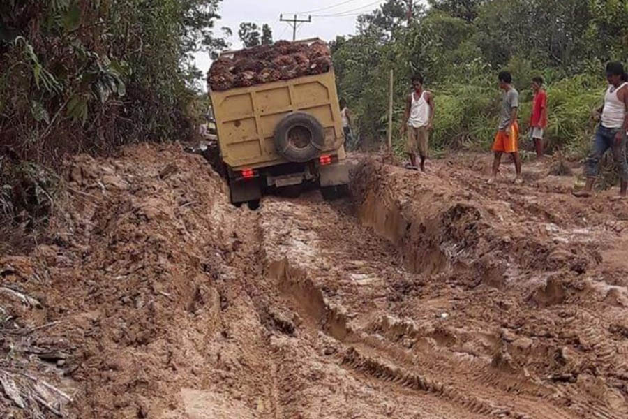 Setelah Diusir, Tunggakan Perusahaan Sawit yang Disasar