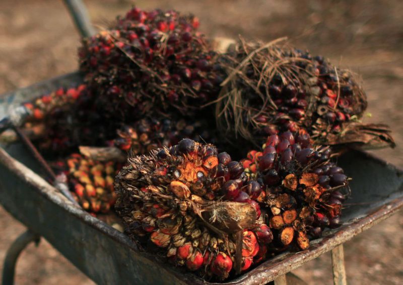 Yang Penting Cuan, Kualitas Nomor Sekian