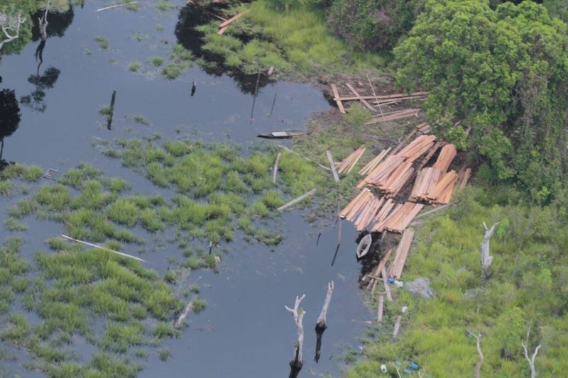Ditjen PHL Paparkan Capaian Kinerja Bidang Pengelolaan Hutan Lestari 2021