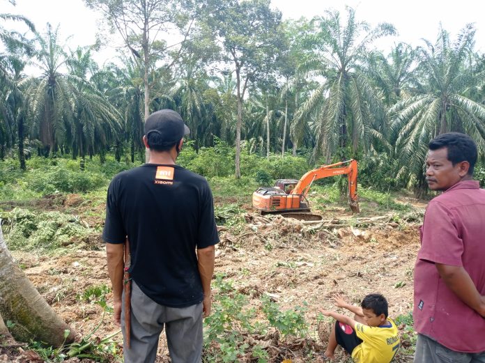 Daerah ini Jadi Target Pertama Pengusutan Kasus Dugaan Korupsi PSR
