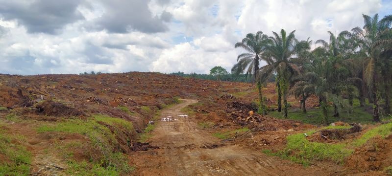 Regulasi Baru Diharapkan Dongkrak Realisasi PSR