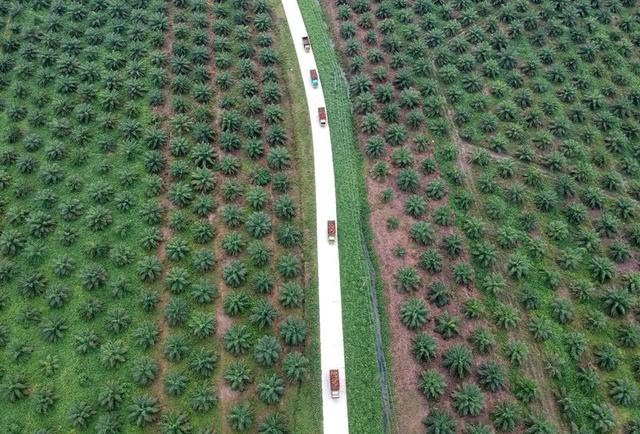Petani Sepakat Usulan KPPU Batasi Pemberian Izin Perusahaan