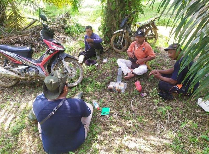 Petani Minta Regulasi Penetapan Harga TBS Diganti