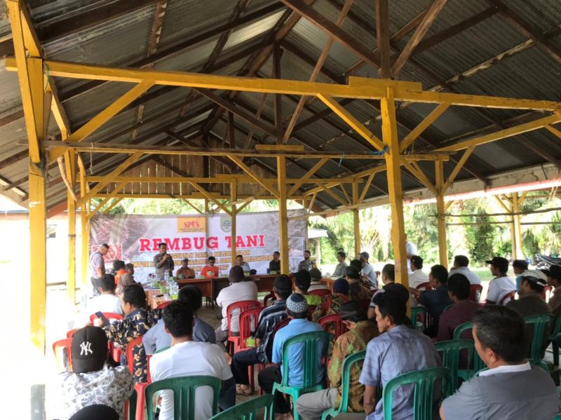 Begini Cara SPKS Semangati Petani di Tengah Anjloknya Harga TBS