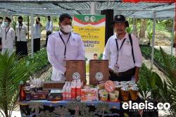 Ragam Inovasi Apkasindo
