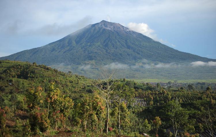 55,89 Persen Bentang Alam Seblat Jadi Kebun Sawit