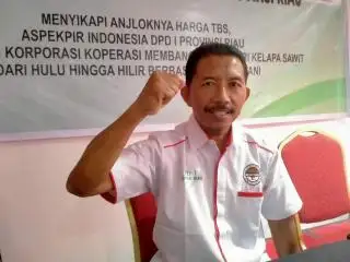 Indonesia Tak Perlu Pesimis India Bangun Kebun Sawit