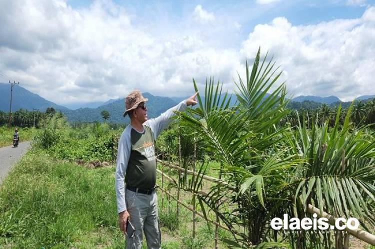 'Panglima' Petani Sawit Papua Barat