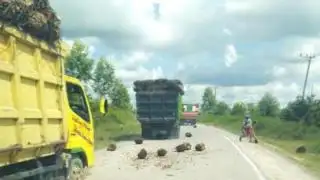 Tanpa Pengaman, Truk Bermuatan TBS Ancam Keselamatan Pengguna Jalan