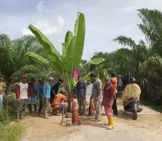 Warga Desa Sentra Sawit Ini Minta Jalan Poros Diperbaiki, Ada Lobang Menganga