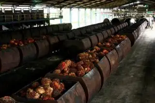 Wacana Pembangunan PKS Milik Pemda Belum Jelas Ujungnya