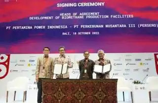 Limbah Pabrik Sawit Jadi Sumber Energi Industri