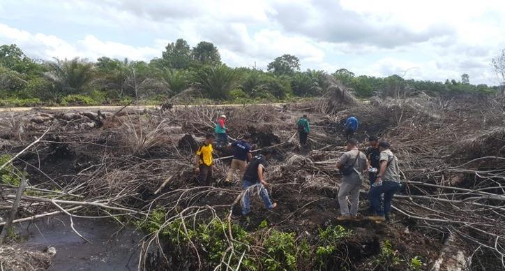 Jauhi Api, Ini Ancaman Bagi Pembakar Lahan