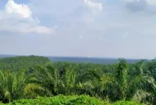 Penolakan Perpanjangan HGU PT EDI Diduga Terkait Klaim Lahan 1.500 Ha
