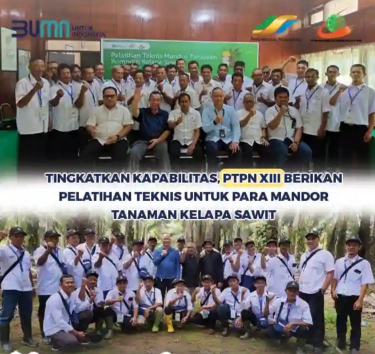 Tingkatkan Kapabilitas, Mandor Tanaman Sawit Ikut Pelatihan Teknis