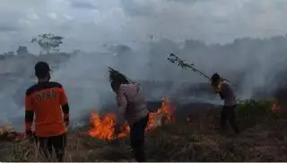 Cegah Kebakaran dan Bencana Asap, Air Muka Tanah Gambut Terus Dijaga