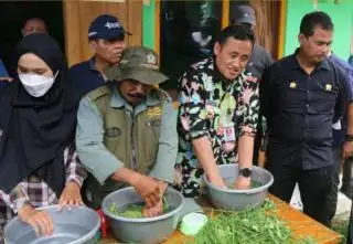 Pupuk Kimia Mahal? Rumput di Pekarangan Solusinya