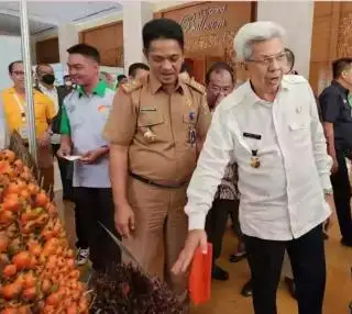 Harga TBS Sudah Lumayan, tapi Pendapatan Bersih Petani Masih Rendah