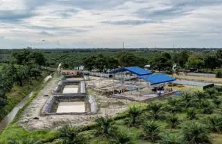 Pabrik Minyak Makan Merah akan Dibangun di Setiap 1.000 Hektare Sawit