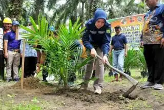 Kebijakan Tentang Gambut Dinilai Bisa Miskinkan Petani Sawit