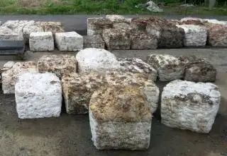 'Azab' Petani Karet: Sudahlah Harga Murah, Kondisi Musim Tak pula Bersahabat