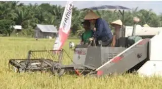 Konversi Lahan Petanian Menjadi Kebun Sawit di Daerah ini Mengkhawatirkan