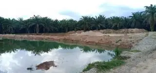Kapolres Rohul Janji Akan Tindak Galian C Ilegal di Kebun Sawit