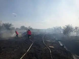 Dua Daerah Sudah Siaga Darurat Karhutla, BPBD: Untuk Riau Sudah Cukup Syarat