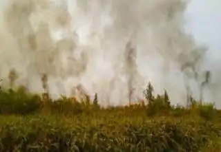 Langsung Turun ke Lahan, Polisi di Inhu Edukasi Penanggulangan Karhutla