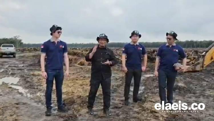 Ternyata Ada Peminat Batang dan Pelepah Sawit, Kebun PSR Diincar
