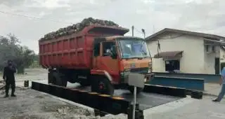 Timbangan Sawit di PKS Diduga Banyak yang Tidak Akurat