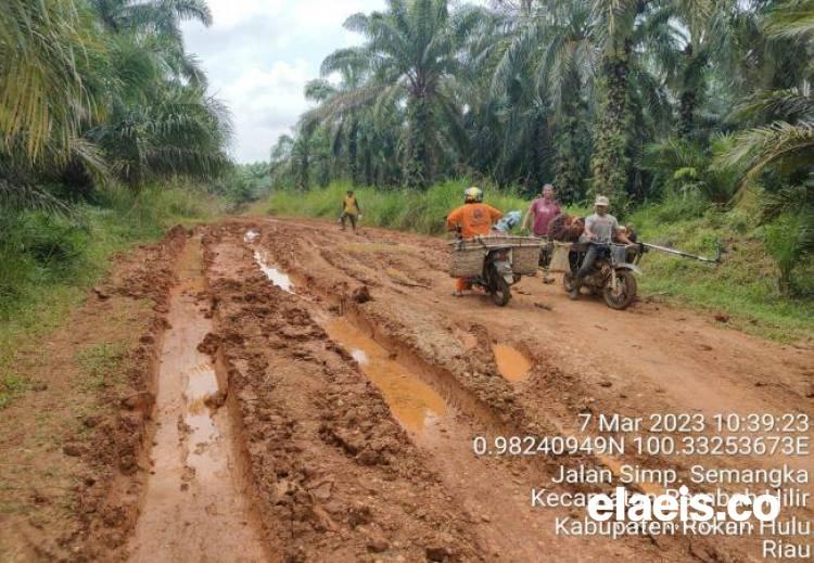 Jalan Alternatif Desa Rusak Parah, Petani Sawit Mengeluh