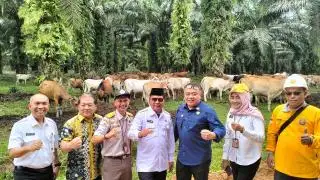Gagas Siska Ku Intip, Paman Birin Bakal Dapat Satyalancana Wira Karya