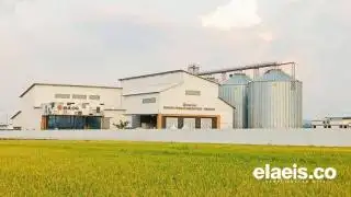 Presiden Jokowi, Desa Ku dan Padi