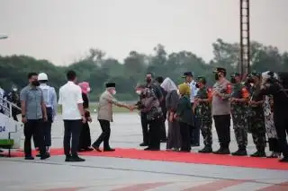 Kunjungi Riau, Wapres Besok Menanam Pohon di Pelalawan