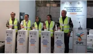 Petani Sawit Honduras Dapat Kiriman 102 Ribu Bibit dari Indonesia Dan Malaysia