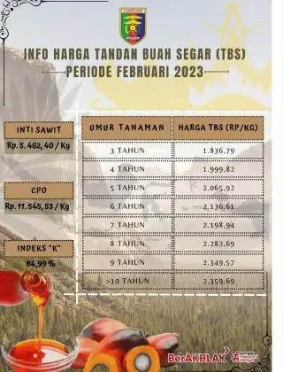 Harga Resmi TBS Lampung Kembali Bergairah, Naik Rp 67,88