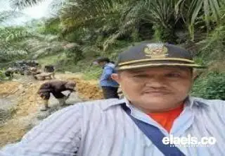 Pemerintah Bentuk Satgas Sawit Diketuai Luhut, Ini Harapan Apkasindo Jambi