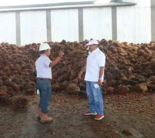 Gara-gara Harga Sawit, Penerimaan PPN di Bengkulu Turun 3,2 Persen