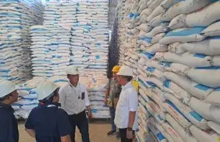 Kabar Bagus Buat Petani, Pemerintah akan Subsidi Pupuk Organik